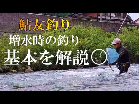 鮎友釣り　脱初心者のために【保存版】