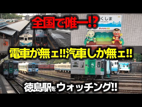 【四国九州旅⑪】気動車天国・徳島駅をウォッチング！【キハ40・47,1500,1800他】