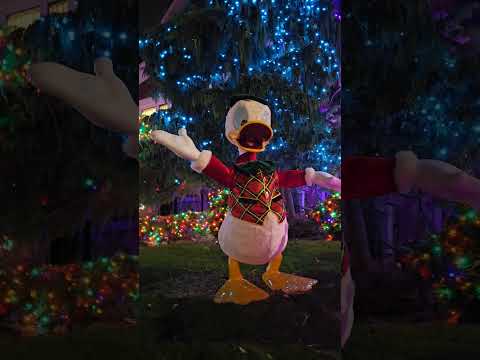 Jingle bell rockin' #donaldduck #jinglebells #cute