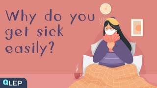 Why do you get sick so easily and how to avoid it? | 🎙️ 8 Minute English | Beginner