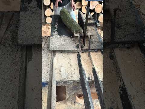 Wood cutting #woodcutting #woodindustry #woodworking #wood #shortvideo #machine #woodwork #woodshop