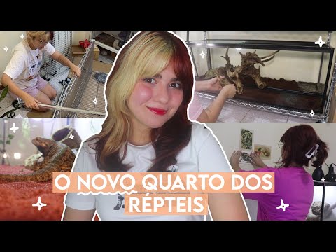 DECORANDO O QUARTINHO DOS RÉPTEIS (um quarto cheio de terrários!!!) *vlog*