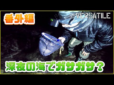 【魚捕り】深夜の海でガサガサするおっさん達