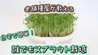 【老舗種屋が教える！】スプラウトの栽培方法！