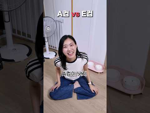 A컵 vs E컵 (밸런스 게임)