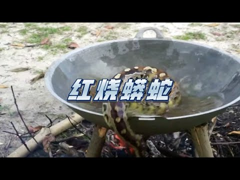 印尼人吃蟒蛇，家常红烧做法，你吃过蛇肉吗？