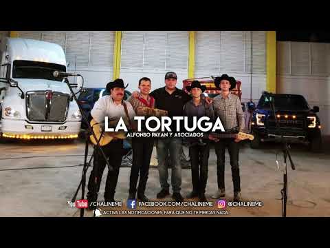 La Tortuga - Alfonso Payan Y Asociados (En Vivo Desde Badiraguato) - “EXCLUSIVO”