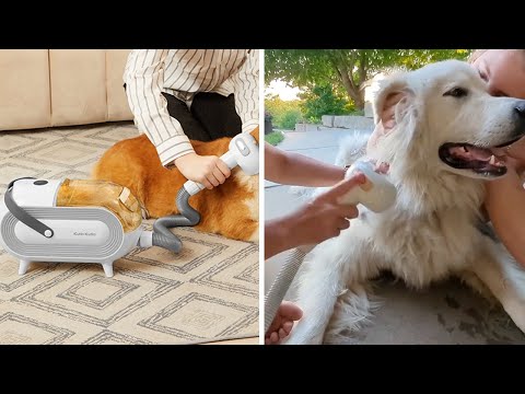 Katio Kadio Dog Grooming Kit - 5 Things to Know