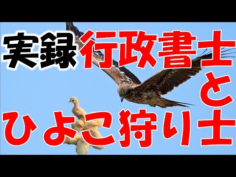 ひよこ狩り士　僕が否定的な理由　行政書士が行政書士に開業＆営業ノウハウを伝授するらしいけど　実態はたぶんこんな感じ？　きっかけはとある動画でした