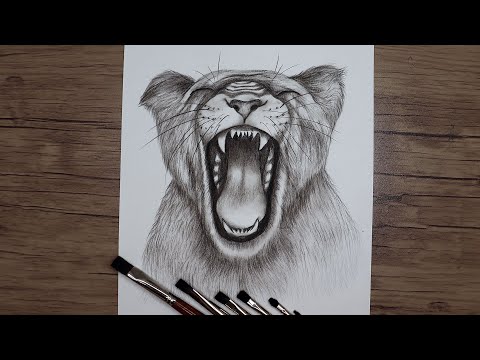 How to Draw a Roaring  Lioness Step by Step | Pencil Drawing Tutorial  Realistic Sketch