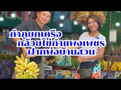 กำภูยกเครือกล้วยไข่ฝากพ่อ#บ้านสวนกำภู