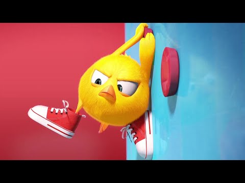 Chicky's New Sneakers | Where's Chicky? | Cartoon Collection in English for Kids | New episodes HD