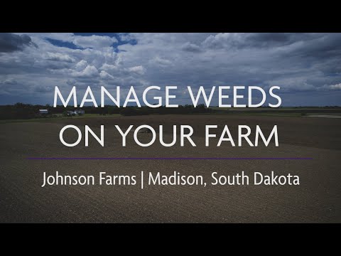 Manage Weeds on Your Farm: Ecological Weed Management at Johnson Farms, Madison, SD