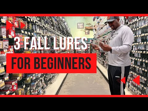 3 Easy Lures to Catch Fall Bass (Beginners)