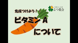 ビタミンAについて【老健管理栄養士】