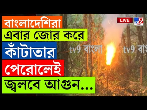 BIG BREAKING | BANGLADESH | অনুপ্রবেশ রুখতে সীমান্তে BSF-এর নয়া ফাঁদ | INDIA BANGLADESH BORDER | BSF