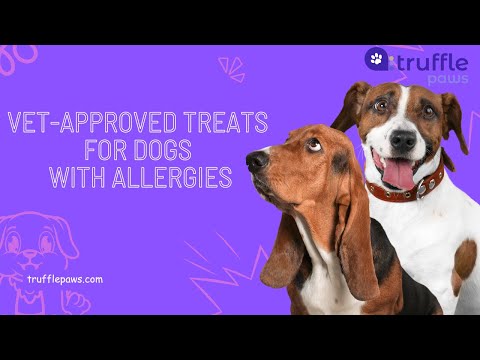 Vet-Approved Treats for Dogs with Allergies 🐶