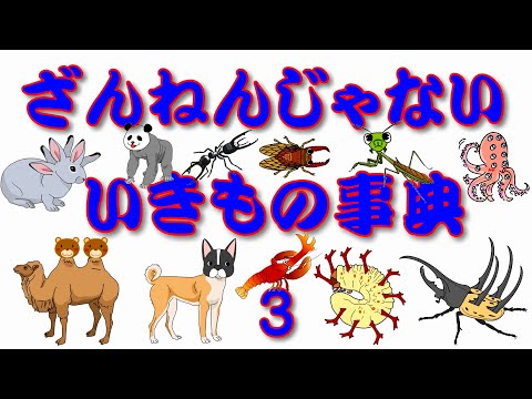 大人気の「ざんねんないきもの事典」に対して、「ざんねんじゃない」いきもの事典の第３弾です。こんな「いきもの」がいたらちょ～おもしろい。ぜひ、みんなで笑ってください。