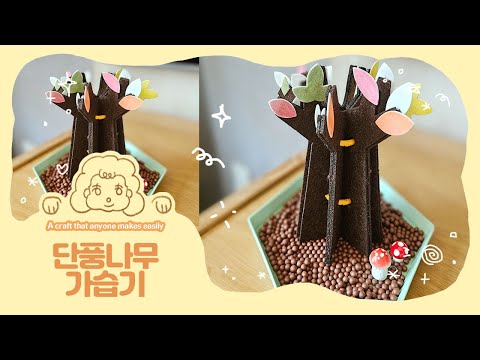 단풍 나무 가습기 만드는 법 #단풍나무 #가습기 #만들기