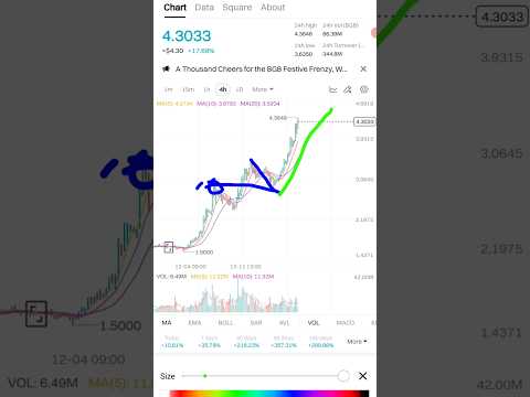 BGT is the best coin to buy this year, check it out and proof me wrong