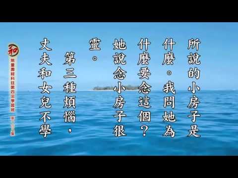 19/9/2015 -⑰刘素云老师学习报告： 无量寿经科注第四回学习班 (有字幕)