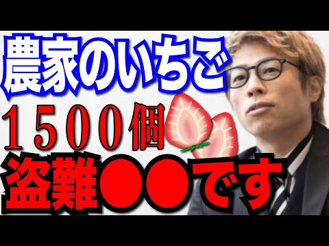 【田村淳】１５００個のいちご盗難について。４２キロも農家から取っていくなんて人として最低です。【切り抜き/盗み/犯罪】