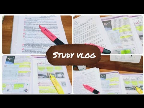 Productive Study Vlog || Study with me || Study motivation || My Lifestyle