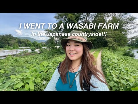 A summer day in the Japanese countryside!! - Going to a wasabi farm in Azumino, Nagano, Japan vlog