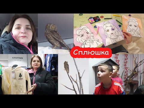 VLOG Показали сову друзьям. У Кости схватило спину