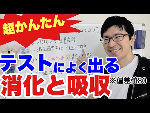 【中2理科】消化と吸収のテストによく出る問題を一瞬で覚える