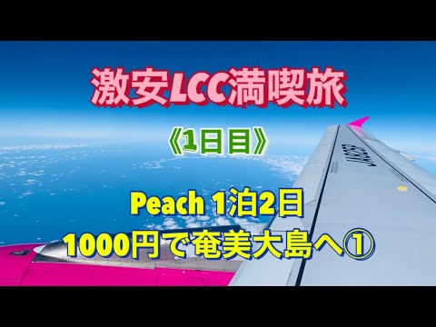 【激安LCC満喫旅】成田から1000円航空券で奄美大島へ①《1泊2日》1日目 ピーチSALE