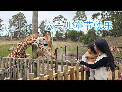 儿童节快乐！(新西兰 Harold Vlog 856)