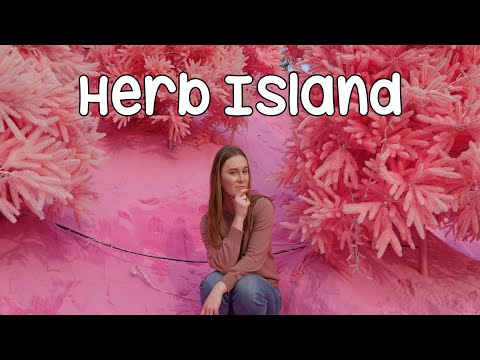 Herb Island Day Trip - A Pink Forest in Pocheon! 허브아일랜드 국내여행 vlog!