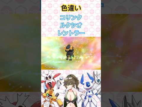 色違いコリンク、ルクシオ、レントラー #ポケモンsv #ポケモン #pokémon #shorts #short