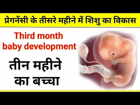 प्रेगनेंसी के तीसरे महीने में शिशु का विकास | pregnancy ke tisare mahine mein shishu ka vikas kitna