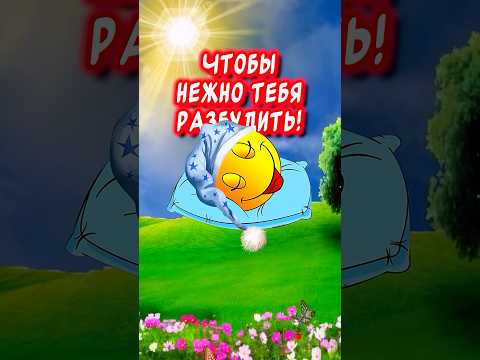 Красивые пожелания С Добрым Утром и Хорошим Днем☀️#сдобрымутроммузыкальнаяоткрытка