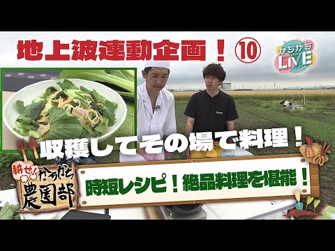 【農園部⑩】産地直送すぎる葉物野菜の時短料理！