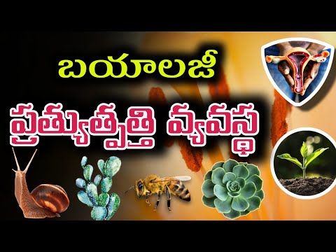 ప్రత్యుత్పత్తి వ్యవస్థ | Reproductive system | #pratyutpatti natural science biology bitbank - 217