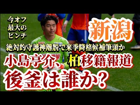 【移籍報道】新潟の正守護神・小島亨介選手が柏レイソルに移籍報道で降格ピンチと後釜は誰なのか？という話【アルビレックス新潟/albirex/小島亨介/柏レイソル】