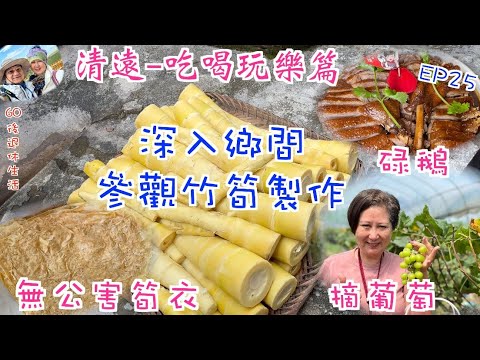 222. 清遠-吃喝玩樂篇（EP25) ，清遠｜入鄉間參觀竹筍製作｜購買無公害筍衣｜摘陽光玫瑰葡萄｜食碌鵝｜花花姨碌鵝