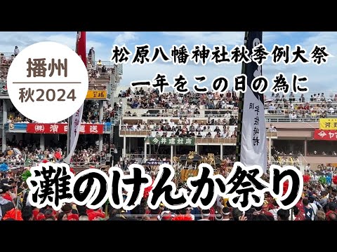 熱気上昇‼︎灘のけんか祭り2024🤜🤛其の十九