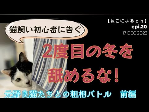 ＃猫の粗相 【ねこによる。ｃｈ】epi.20　2度目の冬を舐めるな！元野良猫たちの粗相バトル前編　元野良猫｜｜40代｜一人暮らし｜粗相｜猫飼い初心者