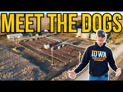 Getting to know the BEST HUNTING DOGS In The Midwest!!!! (SHOWING YOU THE FARM)