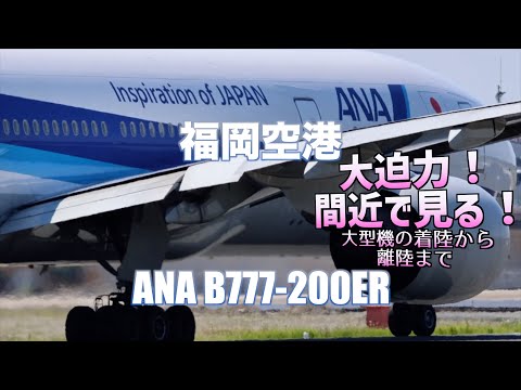 【近い大型機】ANA B777-200ER JA742Aの福岡空港着陸！離陸！までを追っかけてみました！トリプルはド迫力です！