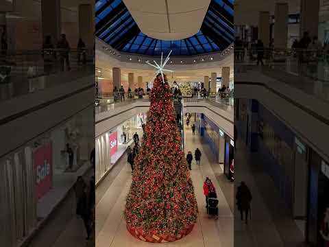 Christmas Tree #christmastree #shortvideo