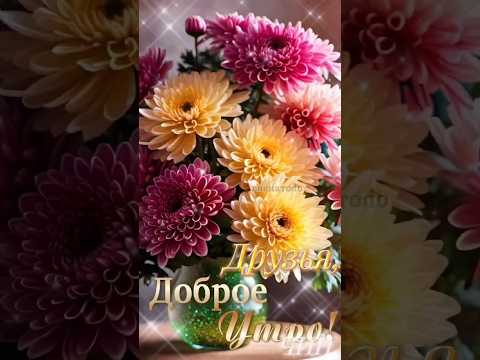 Друзья, доброе утро! Прекрасного Вам дня!(Мини-сборник)