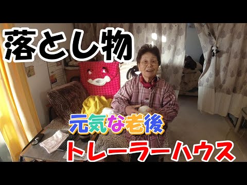 【82歳元気な老後】珍しい落とし物。マジでぇ～　#379