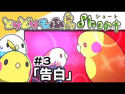 【手描き】もふ鳥ショート#3 「告白」