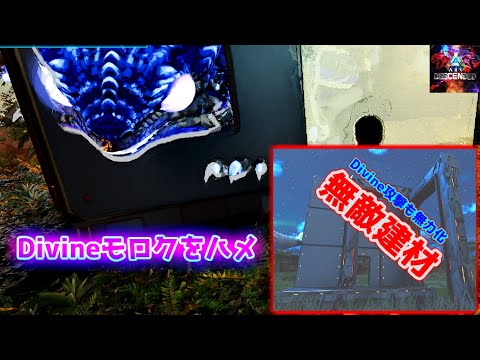 【MOD】Divine種の攻撃にも傷つかない無敵の建材で「Divine モロクトカゲ」を罠ハメ！【ARK:Survival Ascended】【ARK:Decended】