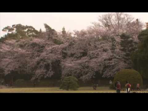 「瀬戸内の美」後楽園・岡山城